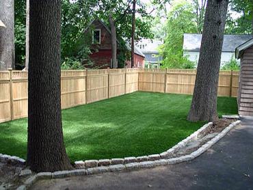 Artificial Grass Photos: Artificial Turf Cost Birch Bay, Washington Landscape Photos, Backyards