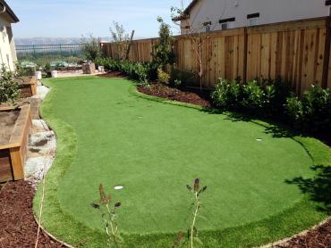 Artificial Grass Photos: Artificial Turf Cost Blaine, Washington Lawn And Garden, Backyard Garden Ideas