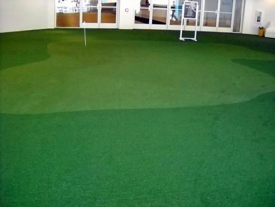 Artificial Grass Photos: Artificial Turf Cost Finley, Washington Indoor Putting Green, Commercial Landscape