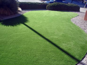 Artificial Grass Photos: Artificial Turf Cost Greenwater, Washington Landscaping, Front Yard
