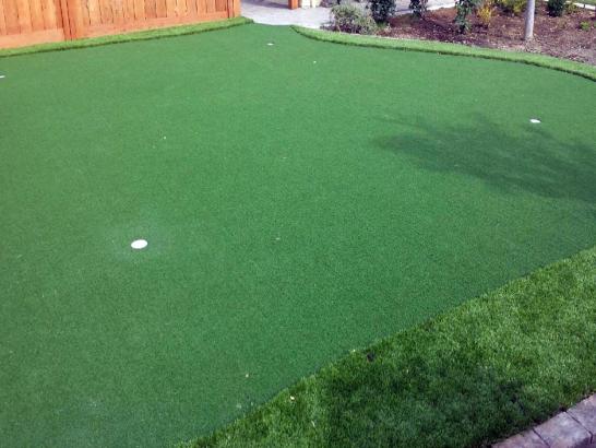 Artificial Grass Photos: Artificial Turf Cost Kennewick, Washington Roof Top