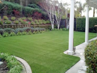 Artificial Grass Photos: Artificial Turf Cost Roslyn, Washington Lawns, Backyard Landscaping