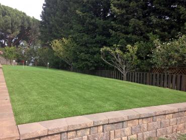 Artificial Grass Photos: Artificial Turf Cost Royal City, Washington Lawns, Backyard Design