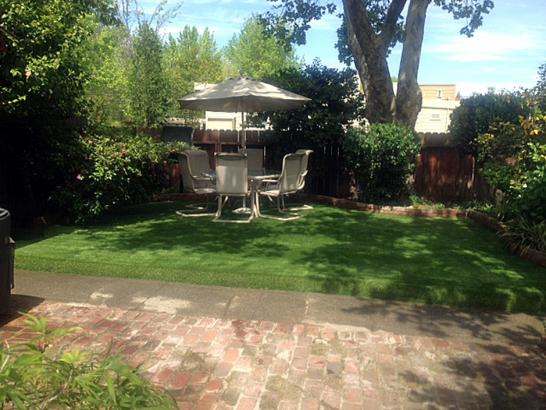 Artificial Grass Photos: Artificial Turf Cost Shoreline, Washington Backyard Playground, Backyard