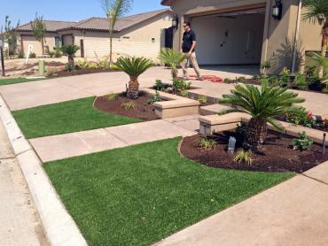 Artificial Grass Photos: Artificial Turf Cost Tanner, Washington Design Ideas, Front Yard Landscaping