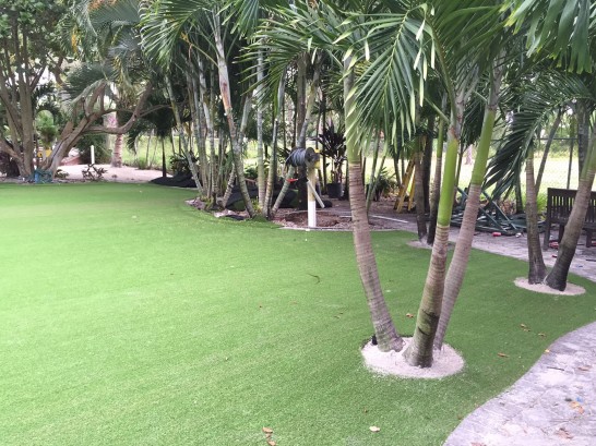 Artificial Grass Photos: Artificial Turf Edison, Washington Landscape Photos, Commercial Landscape