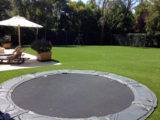 Artificial Grass Photos: Artificial Turf Highland, Washington Sports Athority, Backyard Makeover