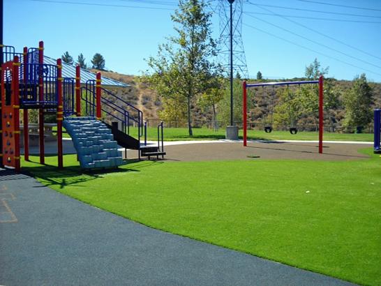 Artificial Grass Photos: Artificial Turf Installation Alderwood Manor, Washington Landscape Ideas, Parks