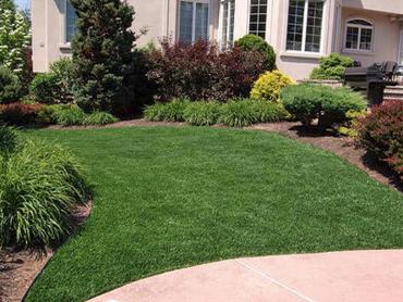 Artificial Grass Photos: Artificial Turf Installation Artondale, Washington Landscape Design, Small Front Yard Landscaping