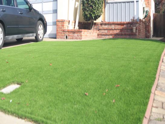 Artificial Grass Photos: Artificial Turf Installation Belfair, Washington Landscape Ideas, Front Yard Landscaping Ideas