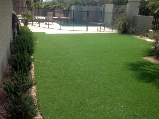 Artificial Grass Photos: Artificial Turf Installation Bellevue, Washington Home And Garden, Small Backyard Ideas