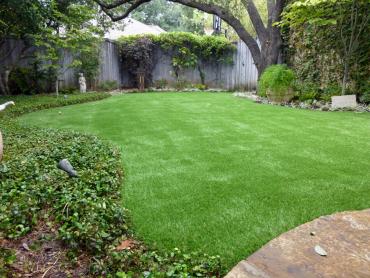 Artificial Grass Photos: Artificial Turf Installation Bryant, Washington Landscaping Business, Backyard Landscaping