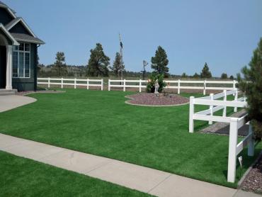 Artificial Grass Photos: Artificial Turf Installation Central Park, Washington Landscape Photos, Front Yard Landscaping