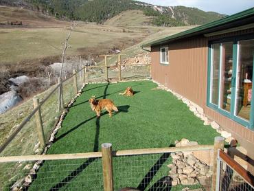 Artificial Grass Photos: Artificial Turf Installation Clearview, Washington Dog Hospital, Backyard