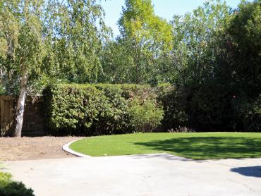 Artificial Grass Photos: Artificial Turf Installation Donald, Washington Gardeners, Backyard Design