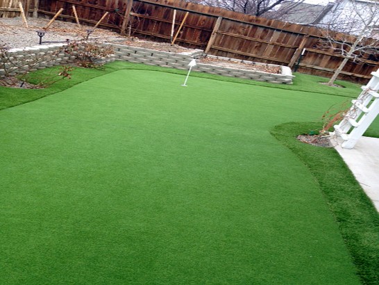 Artificial Grass Photos: Artificial Turf Installation DuPont, Washington Putting Green Carpet, Backyard Designs