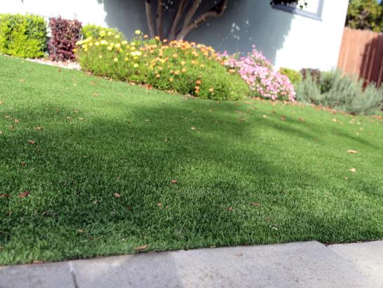 Artificial Grass Photos: Artificial Turf Installation Federal Way, Washington Landscape Design, Front Yard Ideas