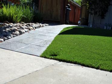 Artificial Grass Photos: Artificial Turf Installation Felida, Washington City Landscape, Front Yard Landscaping