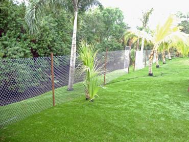 Artificial Grass Photos: Artificial Turf Installation La Conner, Washington Garden Ideas, Backyard Garden Ideas