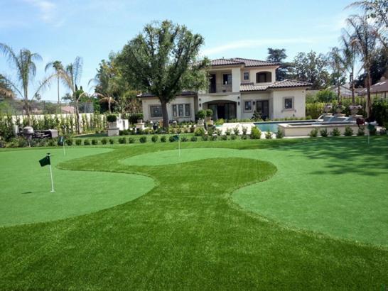 Artificial Grass Photos: Artificial Turf Installation Maltby, Washington Landscape Photos, Front Yard Landscaping Ideas