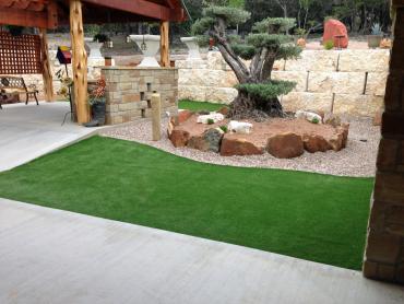 Artificial Grass Photos: Artificial Turf Installation Marietta-Alderwood, Washington City Landscape, Backyard Design