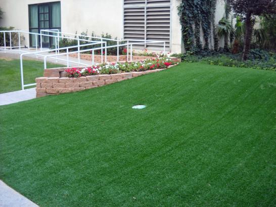 Artificial Grass Photos: Artificial Turf Installation Martha Lake, Washington Landscaping Business, Front Yard Design