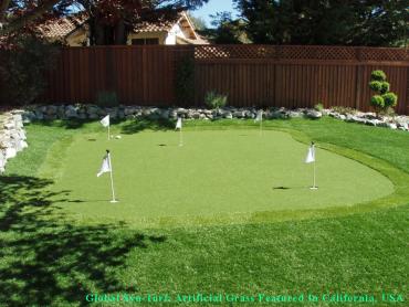 Artificial Grass Photos: Artificial Turf Installation Newport, Washington Diy Putting Green, Backyard Designs