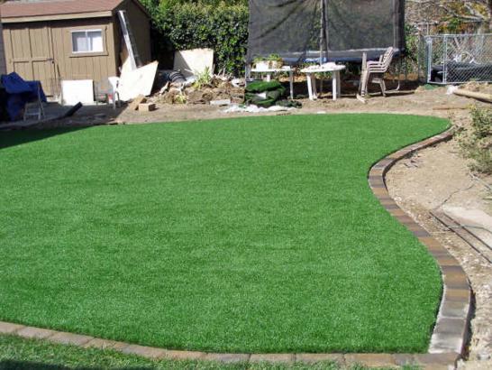 Artificial Grass Photos: Artificial Turf Installation North Bend, Washington Backyard Playground, Backyards