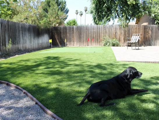 Artificial Grass Photos: Artificial Turf Installation River Road, Washington Landscaping Business, Backyard Ideas