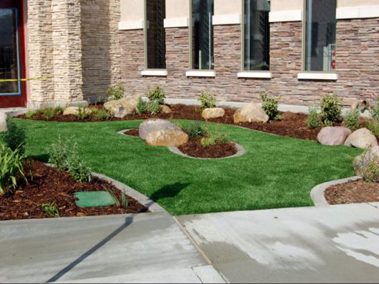 Artificial Grass Photos: Artificial Turf Issaquah, Washington Lawn And Landscape, Commercial Landscape