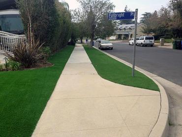 Artificial Grass Photos: Artificial Turf Kenmore, Washington Rooftop, Front Yard Landscaping