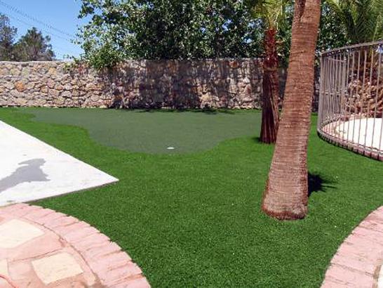 Artificial Grass Photos: Artificial Turf Lake Marcel-Stillwater, Washington Home Putting Green, Backyard