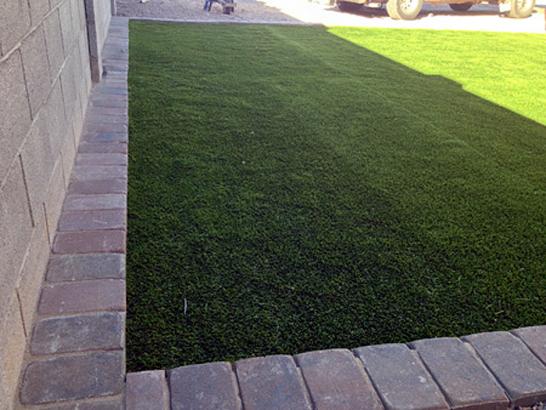 Artificial Grass Photos: Artificial Turf Lakeview, Washington Lawn And Landscape, Front Yard Landscape Ideas