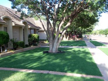 Artificial Grass Photos: Artificial Turf Nisqually Indian Community, Washington Backyard Playground, Small Front Yard Landscaping