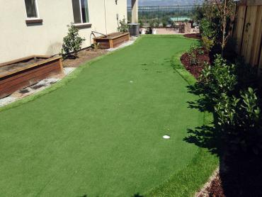 Artificial Grass Photos: Artificial Turf Oakville, Washington Landscape Photos, Beautiful Backyards