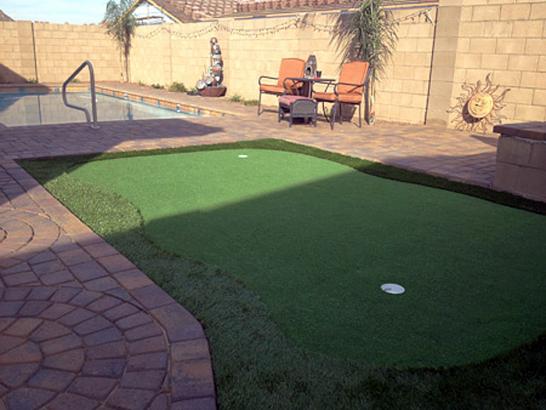 Artificial Grass Photos: Artificial Turf Priest Point, Washington Home And Garden, Backyard Makeover