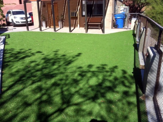 Artificial Grass Photos: Artificial Turf Roy, Washington Lawn And Landscape, Backyard Design