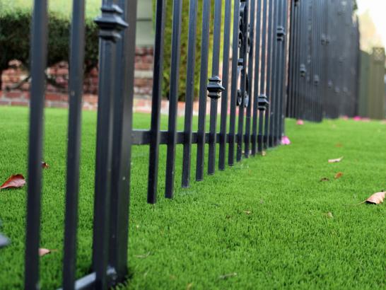 Artificial Grass Photos: Artificial Turf Startup, Washington Landscape Photos, Front Yard Ideas