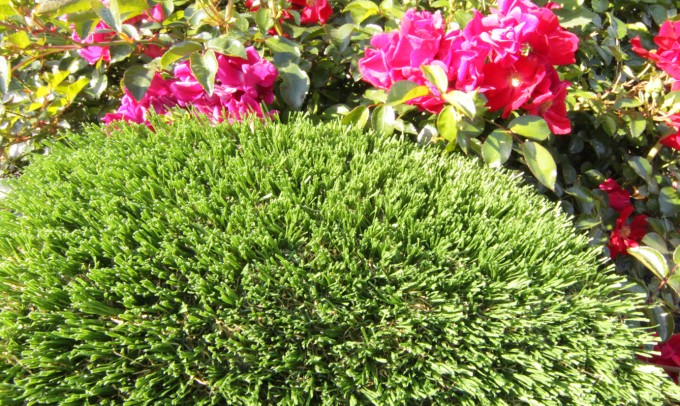 Hollow Blade-73 syntheticgrass Artificial Grass Seattle, Washington