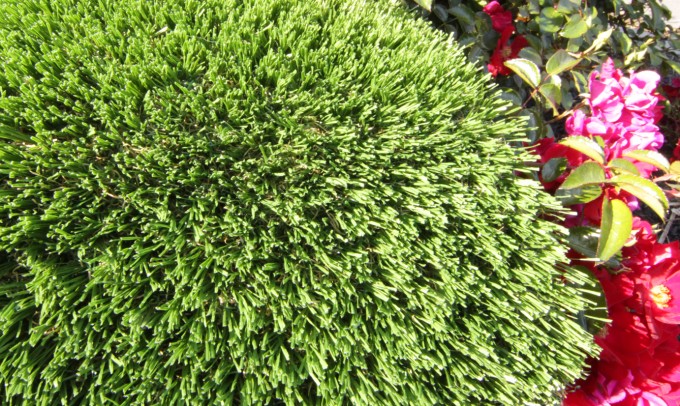 Hollow Blade-73 syntheticgrass Artificial Grass Seattle, Washington