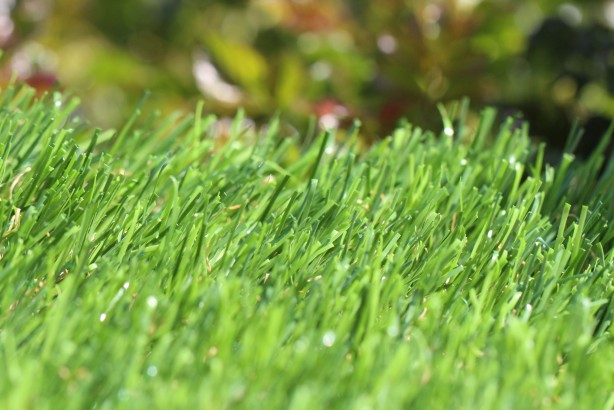 Buy Artificial Turf