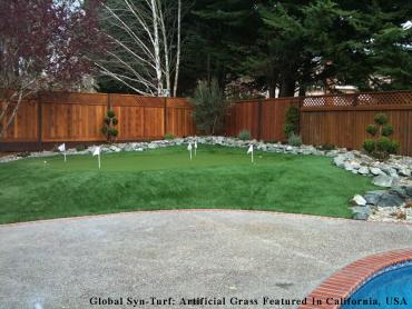 Artificial Grass Photos: Best Artificial Grass Bryn Mawr-Skyway, Washington Office Putting Green, Backyard Garden Ideas