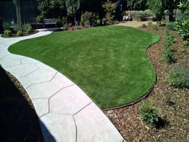 Artificial Grass Photos: Best Artificial Grass Burlington, Washington Home And Garden, Front Yard Design