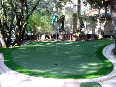 Artificial Grass Photos: Best Artificial Grass East Wenatchee Bench, Washington Best Indoor Putting Green, Backyard Landscape Ideas