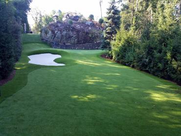 Artificial Grass Photos: Best Artificial Grass Everett, Washington Home Putting Green, Commercial Landscape