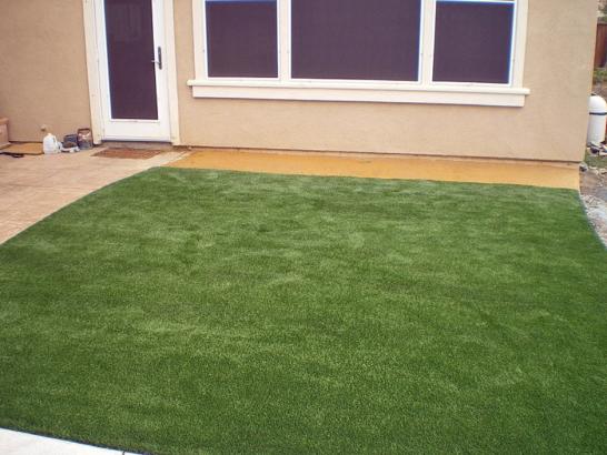 Artificial Grass Photos: Best Artificial Grass Fife Heights, Washington City Landscape, Backyard Garden Ideas