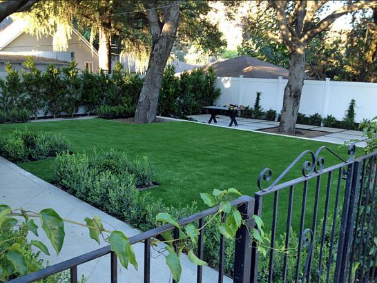 Artificial Grass Photos: Best Artificial Grass Fobes Hill, Washington Home And Garden, Front Yard Landscape Ideas