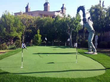 Artificial Grass Photos: Best Artificial Grass Grays River, Washington Outdoor Putting Green, Backyard Garden Ideas