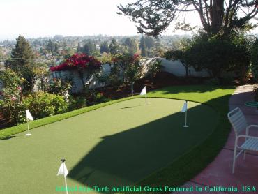 Artificial Grass Photos: Best Artificial Grass Kirkland, Washington Backyard Putting Green, Small Backyard Ideas