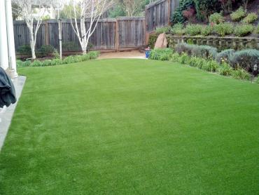 Artificial Grass Photos: Best Artificial Grass Lyman, Washington Backyard Deck Ideas, Backyards